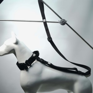 Nylon <b>collar</b> traction set Pet <b>dog</b> <b>collar</b> with padded <b>collar</b> Lightweight aluminum fittings for medium and large <b>dogs</b> - Product Image 6