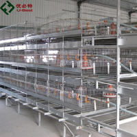 Cage à poulets de chair commerciale en acier galvanisé à chaud U Best, type H, équipement avicole automatique avec garantie d'un an