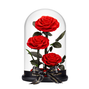 La vera <span class=keywords><strong>rosa</strong></span> con luce a LED ha conservato Rose in vetro fiore eterno cupola per la ragazza donna <span class=keywords><strong>rossa</strong></span> san valentino regalo <span class=keywords><strong>rosa</strong></span> - Product Image 3