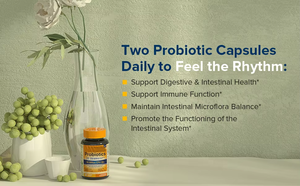 Cápsulas de Probióticos Prebióticos OEM para Adultos, 50 Mil Millones de UFC, <span class=keywords><strong>Bacterias</strong></span> Activas, Sin GMO, Vitaminas en Polvo - Product Image 6