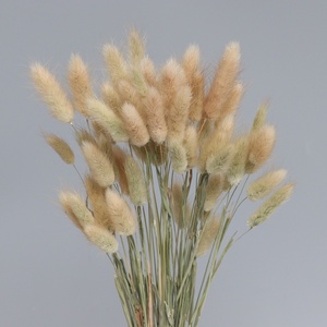 Ramo <span class=keywords><strong>de</strong></span> <span class=keywords><strong>Flores</strong></span> <span class=keywords><strong>Secas</strong></span> <span class=keywords><strong>de</strong></span> Cola <span class=keywords><strong>de</strong></span> Conejo, <span class=keywords><strong>Flores</strong></span> Preservadas Reales, Profesional, Gran Venta - Product Image 4