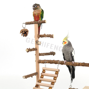 GESHIFENG Parrot <strong>Stand</strong> <strong>Bird</strong> Perches Climb Toy for <strong>Feeding</strong> Training <strong>Bird</strong> <strong>Stand</strong> With Swing - Product Image 3