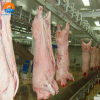 Ligne d'abattage automatique de porcs ZBHT, haute capacité, 200 têtes par heure, équipement d'abattoir pour abattoir porcin moderne