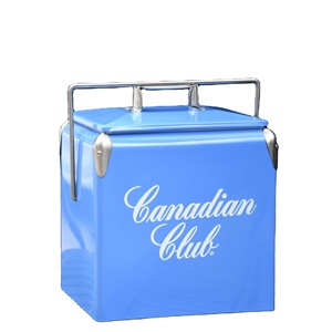 Nevera Portátil de Alta Calidad de 15 Litros, Fabricante OEM, Caja Refrigeradora Metálica - Product Image 4