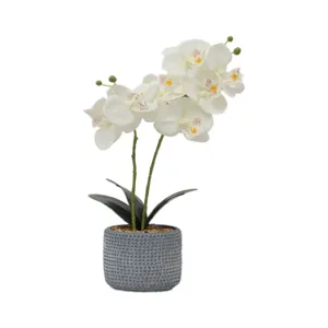 Yeni moda japon yapay phalaenopsis orkide çiçek düğün için/noel/yeni yıl dekorasyon