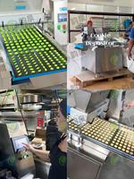 Machine de dépose automatique de biscuits et de cupcakes au chocolat Yunquan, capacité de 300 kg/h, tension 220V/380V