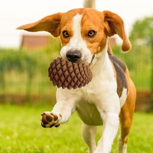 Juguete para Perros de Alta Calidad con Entrega Rápida, Pelota de Goma en Forma de Piña, Juguetes Masticables para Perros Pequeños, Medianos y Grandes - Product Image 1