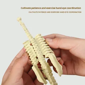 Khủng Long hóa thạch Mô Hình Bộ Xương tự làm thủ công cho trẻ em nhựa Tyrannosaurus Rex lắp ráp bộ xương nhiều phong cách có sẵn cho bé trai - Product Image 3