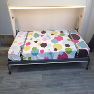 <span class=keywords><strong>Lit</strong></span> caché horizontal, bibliothèque, garde-robe personnalisé, <span class=keywords><strong>lit</strong></span> en métal - Product Image 5