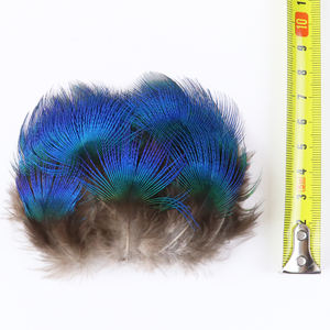 Piume di fagiano naturale <span class=keywords><strong>pavone</strong></span> turchia 8-13cm gioielli fai da te accessori artigianato materiale per legare a mosca pennacchio all'ingrosso - Product Image 6