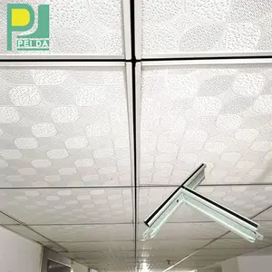 Cleanroom Schorsing Gegroefde Plafond T-Grids Belangrijkste Tee Voor Gips Plafond