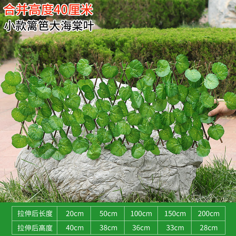 Petite clôture-grande feuille de bégonia vert