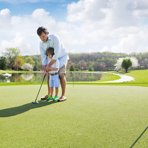 <span class=keywords><strong>Gazon</strong></span> <span class=keywords><strong>synthétique</strong></span> à prix avantageux, tapis de mini-<span class=keywords><strong>golf</strong></span>, <span class=keywords><strong>gazon</strong></span> artificiel pour terrain de <span class=keywords><strong>golf</strong></span> - Product Image 6