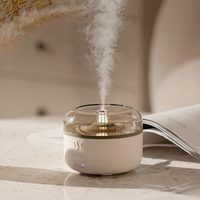 Diffuseur d'arômes, diffuseur d'huiles essentielles, lumière 7 couleurs, réservoir de 160 ml, minuterie à quatre étapes, vente en gros d'usine, emballage personnalisé, B2B, en vrac