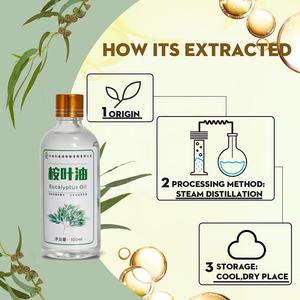 Óleo de eucalipto para venda, óleo de eucalipto para plantas, bomba de óleo de eucalipto, fragrância - Product Image 4