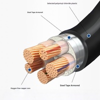 Cable de Bajo Voltaje YaLi 0.6/1kV WDZC-YJY de 2 Núcleos, Conductor de Aluminio, Aislamiento XLPE, Revestimiento de PVC, Clasificación IP68, para Uso Industrial y en Edificios