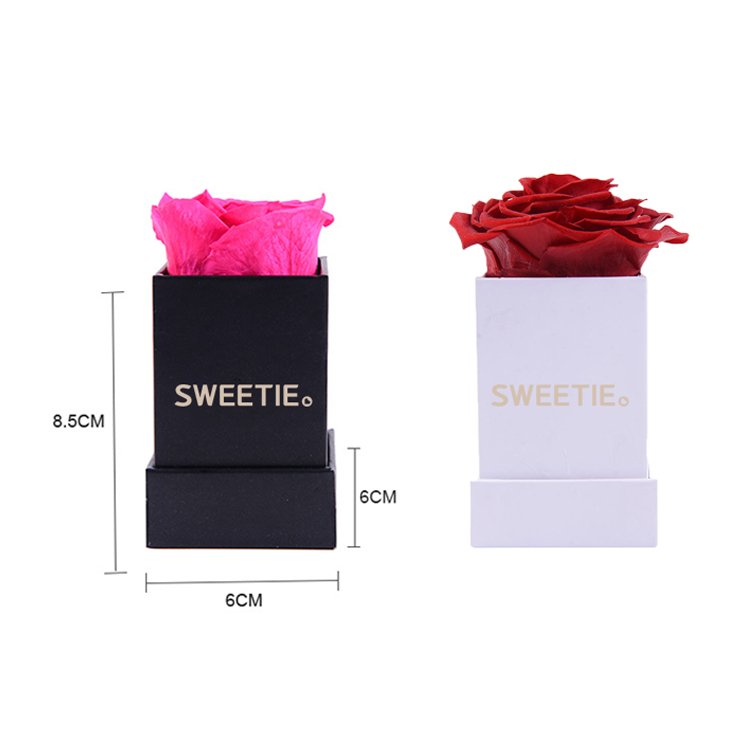 Rose unique dans une boîte carrée