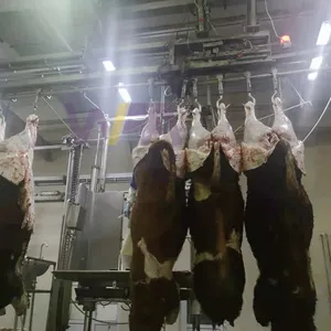 Complete Chain Abattoir Plant Cattle Sheep Slaughter House 10 Cow CPD Halal Humane Slaughtering Line