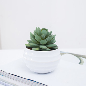 mayor <span class=keywords><strong>de</strong></span> <span class=keywords><strong>interior</strong></span> al aire libre casa jardín decoración 3D maceta <span class=keywords><strong>de</strong></span> suculentas plantas artificiales <span class=keywords><strong>de</strong></span> melamina para - Product Image 2