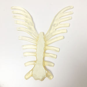 Hôpital médical PVC école enseignement désarticulé corps humain entier dispersé os anatomie <span class=keywords><strong>squelette</strong></span> modèle avec crâne en 3 parties - Product Image 3