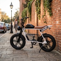 Vélo électrique à cadre intégré à roues larges, pour le shopping, les voyages et les usages spéciaux, à fonctionnement fluide