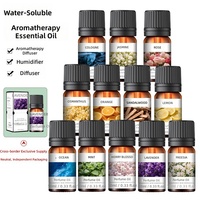 Coffret d'échantillons d'huiles essentielles naturelles – 12 parfums : Lavande, Menthe, Océan, Rose – Huiles d'aromathérapie en gros, OEM, Logo personnalisé