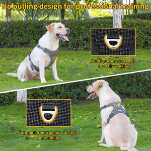 Cintre rétractable moelleux nom personnalisé néon luxueux Logo colliers lourds tirer <span class=keywords><strong>harnais</strong></span> pour <span class=keywords><strong>chien</strong></span> personnalisé - Product Image 4