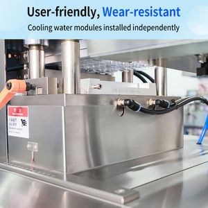 Elektrische Vlakke Plaat Alu Alu Tablet Capsule Verpakkingsmachine Nieuwe Pil Blister Afdichting Vormen Strip Blister Verpakkingsmachine Voedsel - Product Image 4