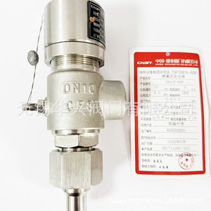 Válvula de Seguridad CNST DA21P-40P DN10 de Acero Inoxidable para Vapor, Válvula de Alivio de Presión para Altas Temperaturas - Product Image 1