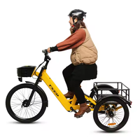 TXED nouveau design 3 roues vélo électrique de partage de cargaison 36v 250w vélo électrique à moteur arrière pour la livraison vélo électrique