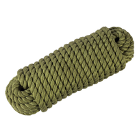 Corde en PP torsadée haute densité Danline 6mm 8mm 10mm Corde en PP tressée colorée pour l'emballage