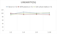 Human AB1-42 (amyoid Beta 1-42) ELISA Kit