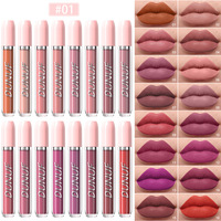 DUNUF Coffrets de Rouge à Lèvres Liquide Mat 16 Couleurs Brillant à Lèvres Imperméable Longue Durée Rouge Sexy Blanc Noir Nude Maquillage