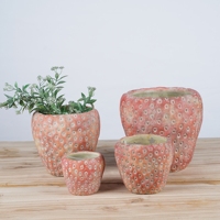 Lianda décoration de la maison ciment pots succulents pour le jardinage Style rustique intérieur extérieur décor ciment fraise Pot de jardin