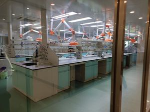 Капсулы для контроля уровня сахара в крови OEM — ежедневная добавка для стабилизации глюкозы и здорового контроля уровня сахара в крови - Product Image 6