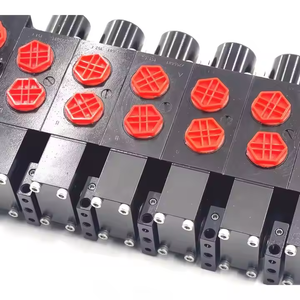 Vanne sectionnelle manuelle proportionnelle électrique Hansen HSDSL 350 bar/140 L/min Garantie 1 an L'approvisionnement direct garantit un fonctionnement impeccable - Product Image 5