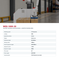 Palettiseur de haute performance 360 kg pour empilage de cartons de 300 à 2400 mm avec ventouse pour l'emballage alimentaire, chimique et de cigarettes