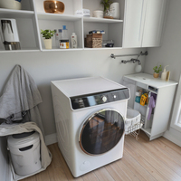 Sèche-Linge à Tambour à Chargement Frontal Entièrement Automatique pour Usage Domestique