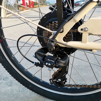Vélo à 3 roues CE 250W 350W 500W avec boîte à bagages, tricycle électrique hollandais, vélo familial à 3 roues, 4 places, siège bébé
