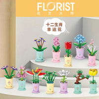 Lucky Mini Flowers, 12 Tipos de Sets de Bloques de Construcción, Ramos de Flores, Sets de Ladrillos, Decoración DIY para el Hogar y la Oficina, para Niños