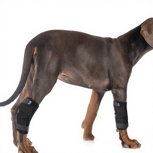 Sabuk Bantu Hewan Peliharaan Modern yang Dapat Disesuaikan, Desain Non-Retraktable dengan Strip Tulang Logam, Pelindung Tempurung Lutut Anjing Kucing, Bahan Poliester untuk Kaki Belakang - Product Image 1