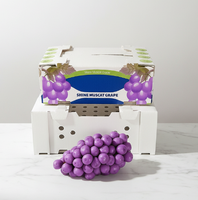 Meilleur prix, boîte de transport carrée empilable en polyéthylène pour la chaîne du froid et le stockage de fruits
