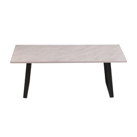 Plateau échantillon gratuit de levage industriel, multifonctions pour animaux, bois massif, coffre marbré, Top de marbre, Table basse