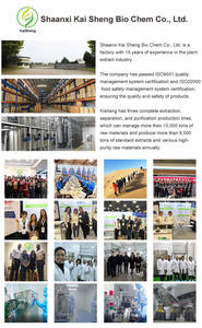 ผงสารสกัดจากมัลเบอร์รี่ ผงผลมัลเบอร์รี่ - Product Image 6