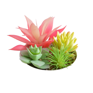 Multiprise électrique ignifuge et écologique Plant PD 5V/3A & 9V/2A 20W avec prises USB Type-C pour une charge rapide - Product Image 2