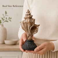 Sculpture de coquillage antique de style méditerranéen en résine, accessoires de décoration de bureau et de maison, statue d'étoile de mer, artisanat de décoration intérieure