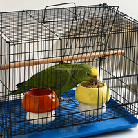 Bol en céramique en forme de champignon pour oiseaux, anti-renversement, pour mangeoire à perroquets, bol surélevé pour perruches, calopsites et agapornis