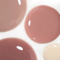 HEMA TPO Free Custom Logo OEM Private Label French Liquid Nails Art Gel Varnish Soak Nail Lacquer UV/LED Gel Polish Wholesale