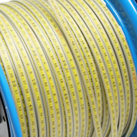 Medidor Electrónico de Nivel de Agua para Pozos Profundos de ABS y Metal con Precisión de 0.5MM y Batería de 9V