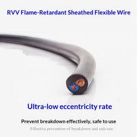 Cable de Alimentación RVV de 3 Hilos, 4*4, 6, 10, 16 mm², de Cobre Puro, Retardante de Llama, con Aislamiento Redondo Negro, para Maquinaria y Equipos